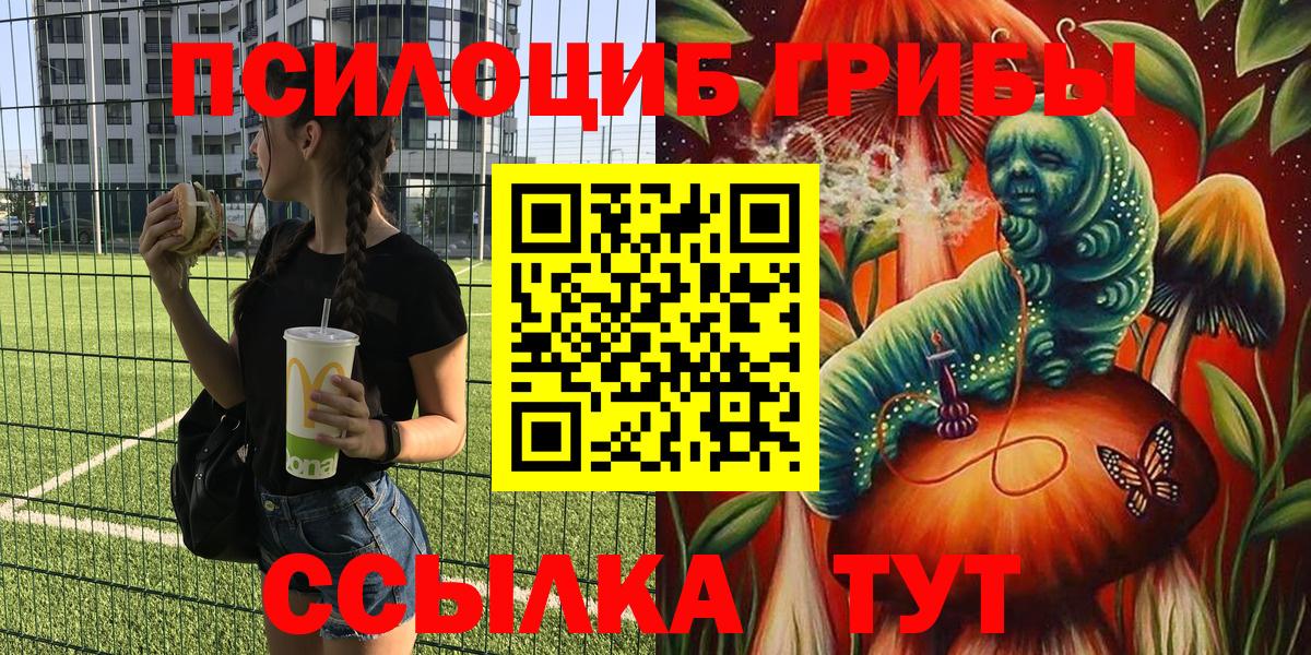 Галлюциногенные грибы GOLDEN TEACHER Гусиноозёрск