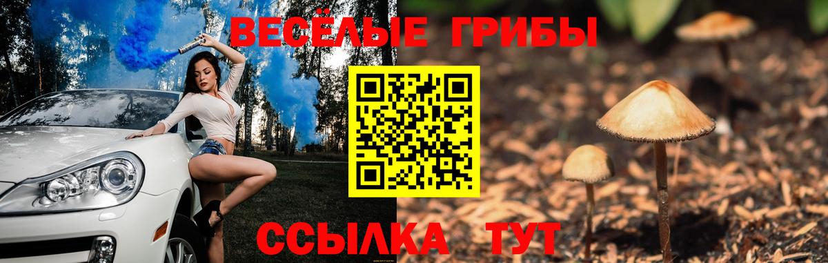 Псилоцибиновые грибы GOLDEN TEACHER  Галлюциногенные грибы ЛСД  Гусиноозёрск  Вход с VPN 