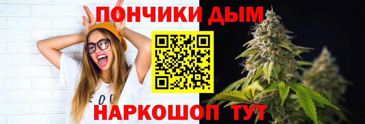 Марихуана планчик  Гусиноозёрск  Канабис OG Kush  Канабис SATIVA & INDICA 